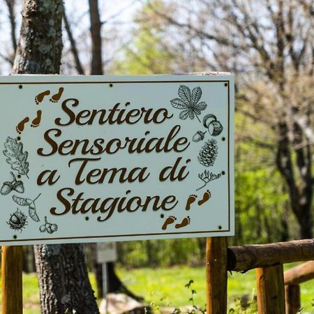 Villaggio Anemone - Chalet Anemone Capanne di Sillano Exterior photo